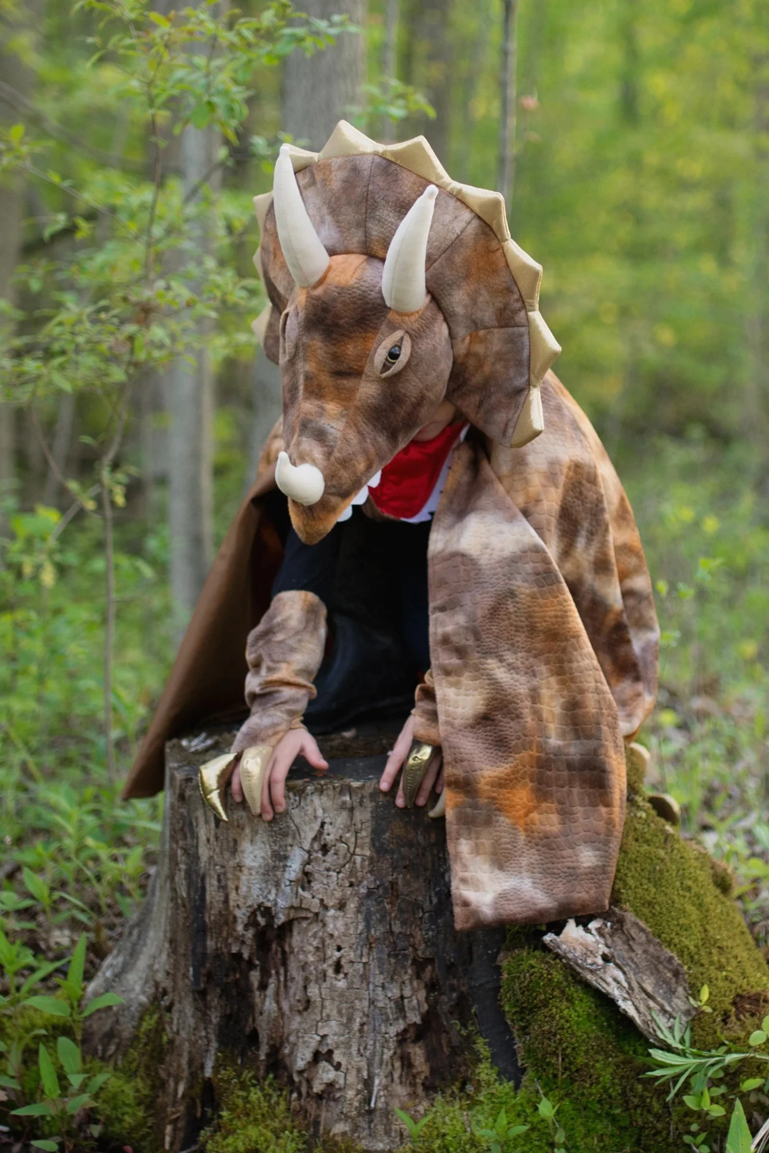 GRANDASAURUS TRICERATOPS CAPE WITH CLAWS 3 GRANDASAURUS TRICERATOPS CAPE WITH CLAWS