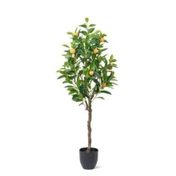 Medium Orange Tree