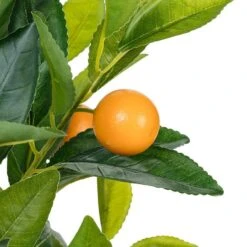 Medium Orange Tree 7 Medium Orange Tree -Simply Devine Gifts And Decor Shop 27 VALENCIA 03 ORANGE 2