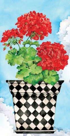 Potted Geranium Collection