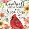 Cardinals Appear Collection -Simply Devine Gifts And Decor Shop 4541FL