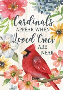 Cardinals Appear Collection