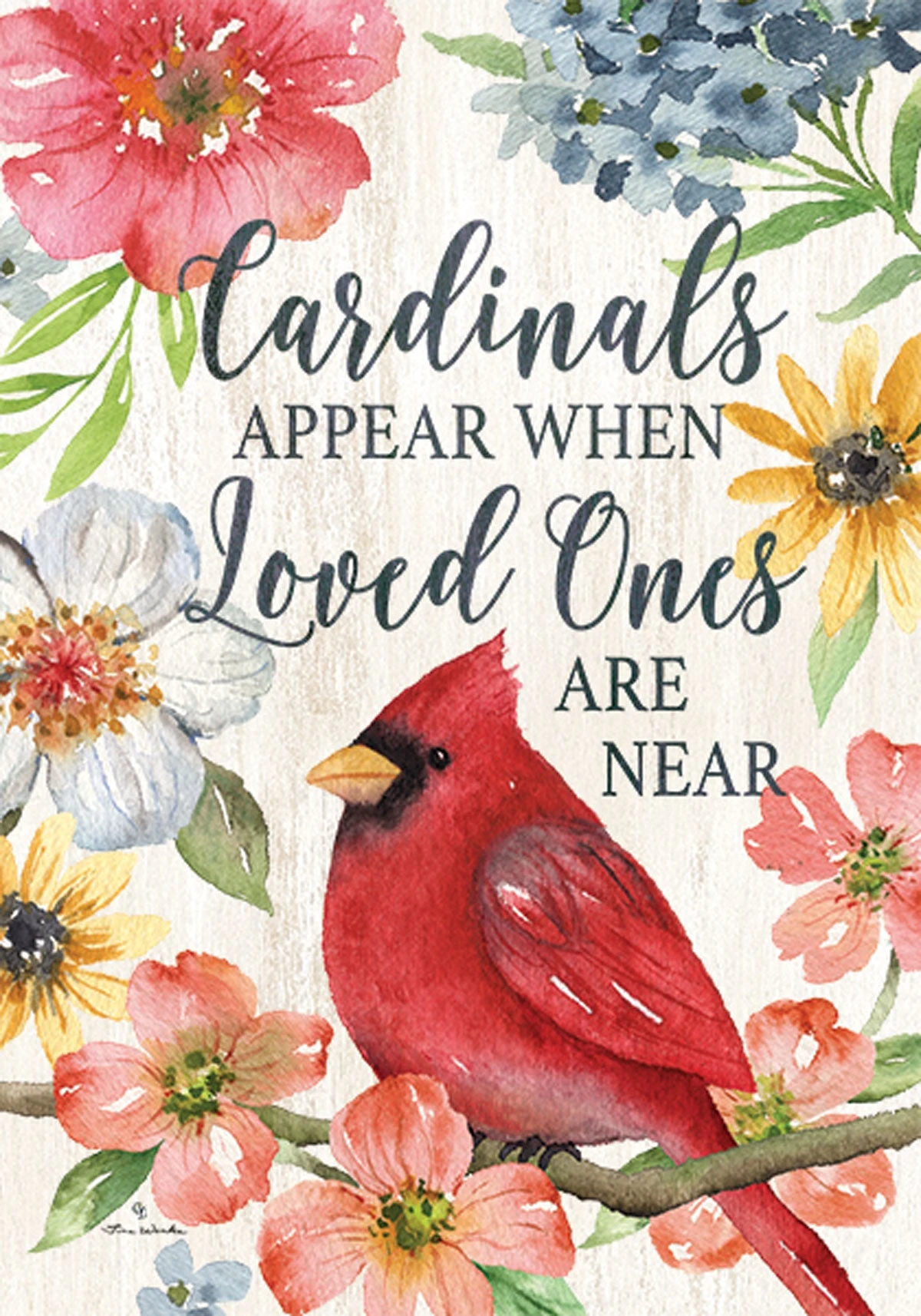 Cardinals Appear Collection 3 Cardinals Appear Collection