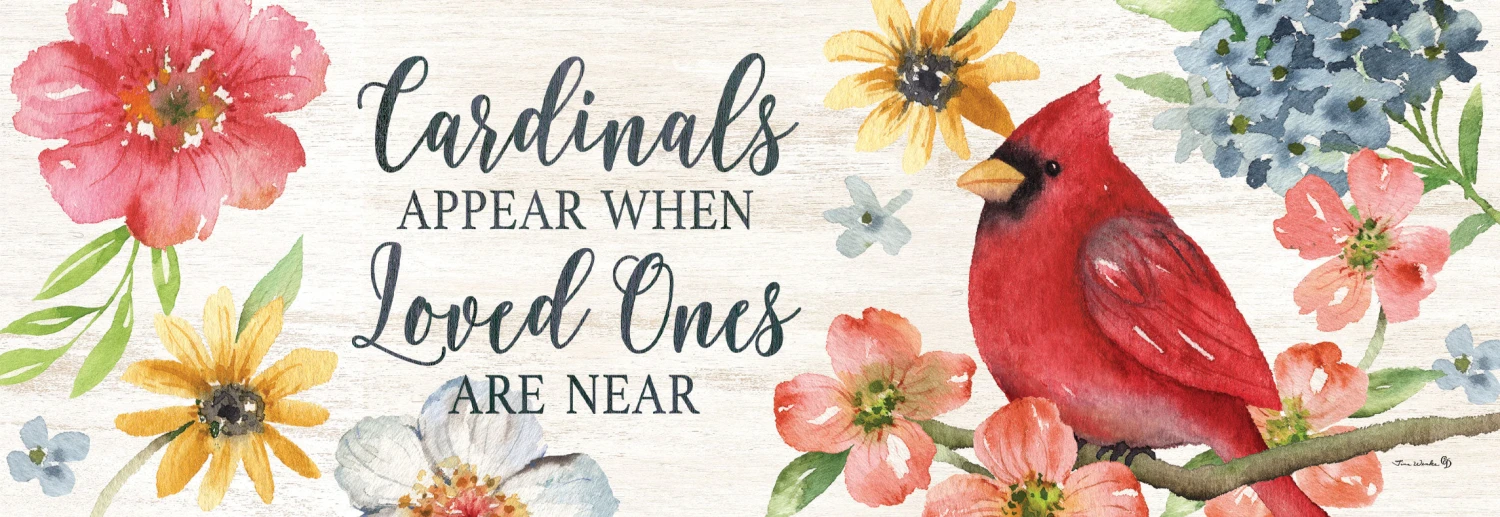 Cardinals Appear Collection 4 Cardinals Appear Collection - Image 2