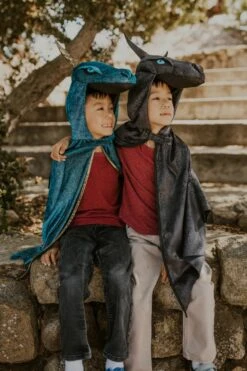 MIDNIGHT DRAGON CAPE