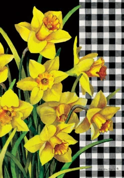Daffodil Check-Flag Collection