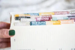 Bible Tabs -Simply Devine Gifts And Decor Shop 5M6A5677 720x 3d195ecd c687 4c68 a9f1 74c7bc1aba56