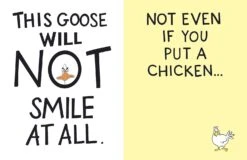 The Serious Goose 8 The Serious Goose -Simply Devine Gifts And Decor Shop 71uETWeapfL. SL1500