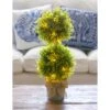 LED Boxwood Topiary With Burlap Bow In Galvanize Pot -Simply Devine Gifts And Decor Shop 8flp164 3