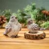 Woodland Storybook Table Décor Resin Winter Bird, 5"L, Set Of 2 -Simply Devine Gifts And Decor Shop 8tac404
