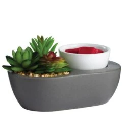 Succulent ArtScents Wax Warmer -Simply Devine Gifts And Decor Shop CCWSCL 54923.1655233390.1280.1280 536x536 1