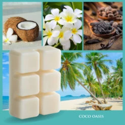 CLASSIC WAX MELTS -Simply Devine Gifts And Decor Shop Coco Oasis Secondary Image 96979