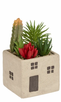 Tan House Pot W/Succulents