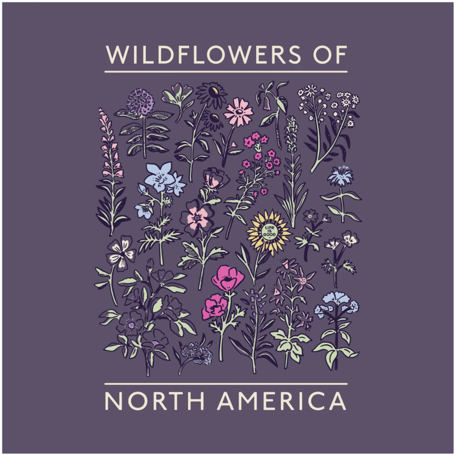 WILDFLOWERS OF NORTH AMERICA SHORT SLEEVE 4 WILDFLOWERS OF NORTH AMERICA SHORT SLEEVE - Image 2